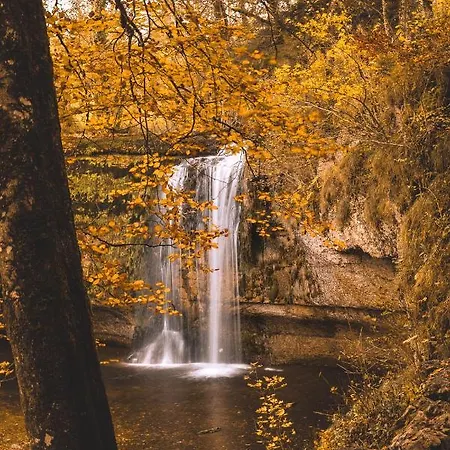 Le Moulin Des Scies Neuves